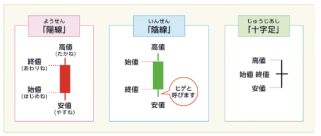 株　勉強